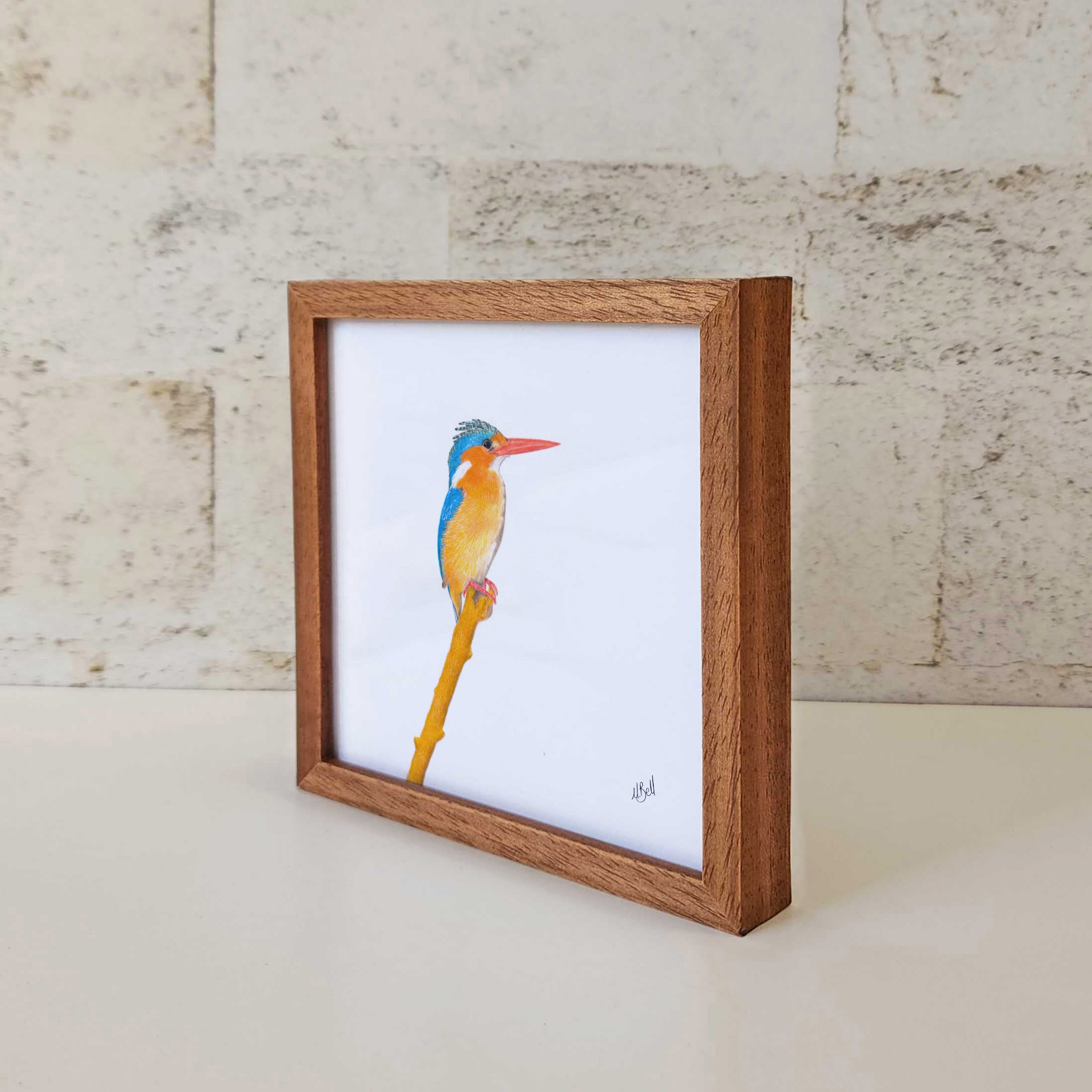 Kiaat wood framed miniature artwork of a Malachite Kingfisher, part of wildlife artist Matthew Bell's birds of South Africa gallery