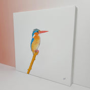 Malachite Kingfisher bird artwork on stretched canvas