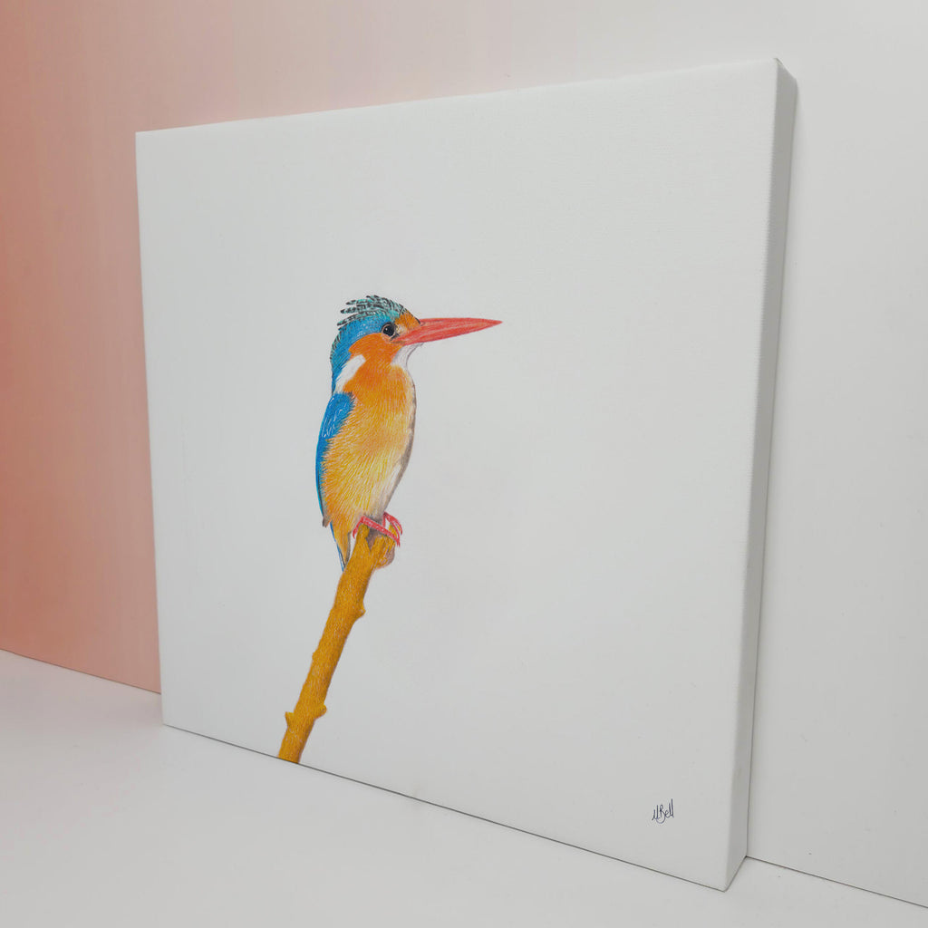Malachite Kingfisher bird artwork on stretched canvas