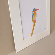 Malachite Kingfisher artwork print