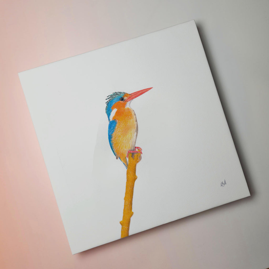 Malachite Kingfisher bird artwork on stretched canvas