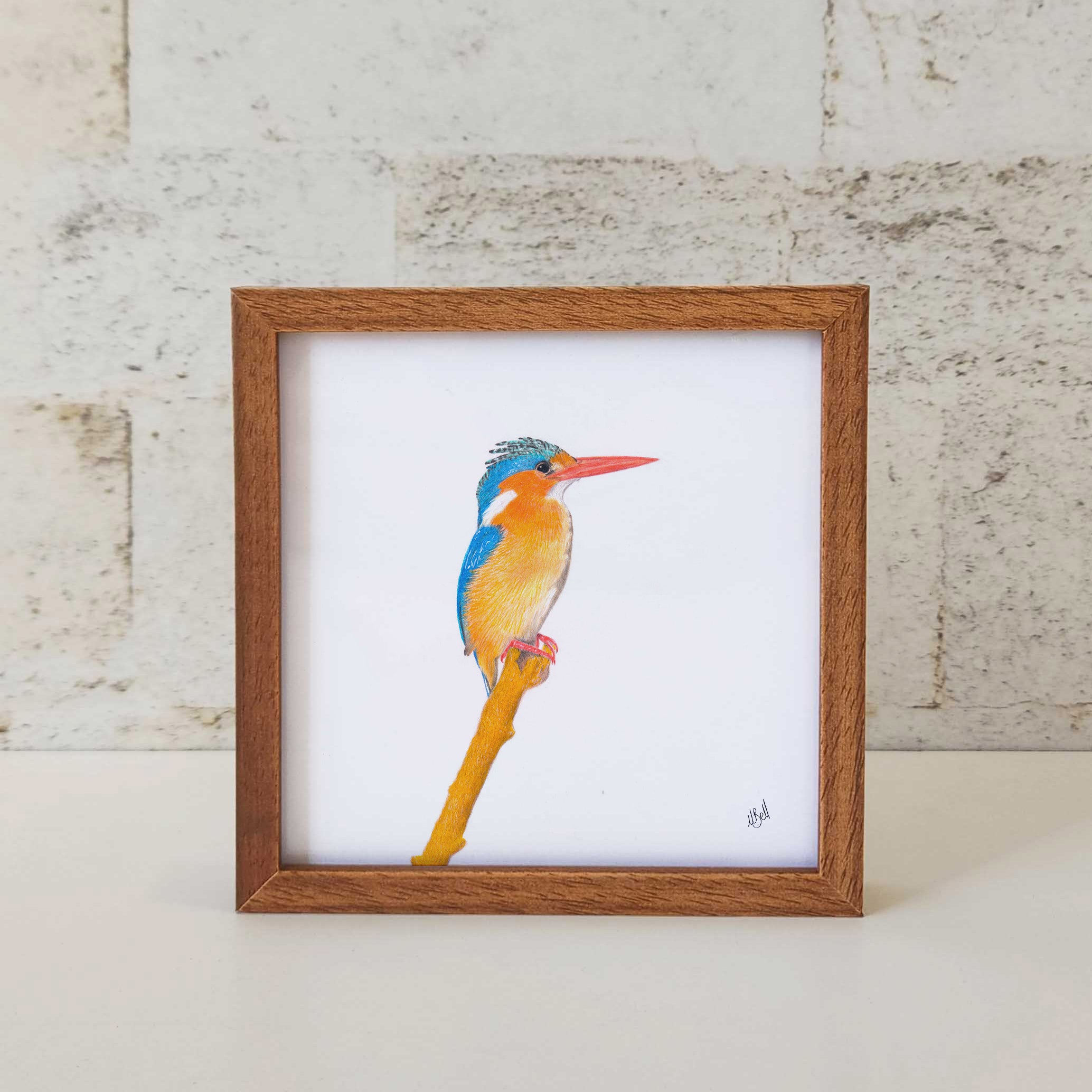 Kiaat wood framed miniature artwork of a Malachite Kingfisher, part of wildlife artist Matthew Bell's birds of South Africa gallery