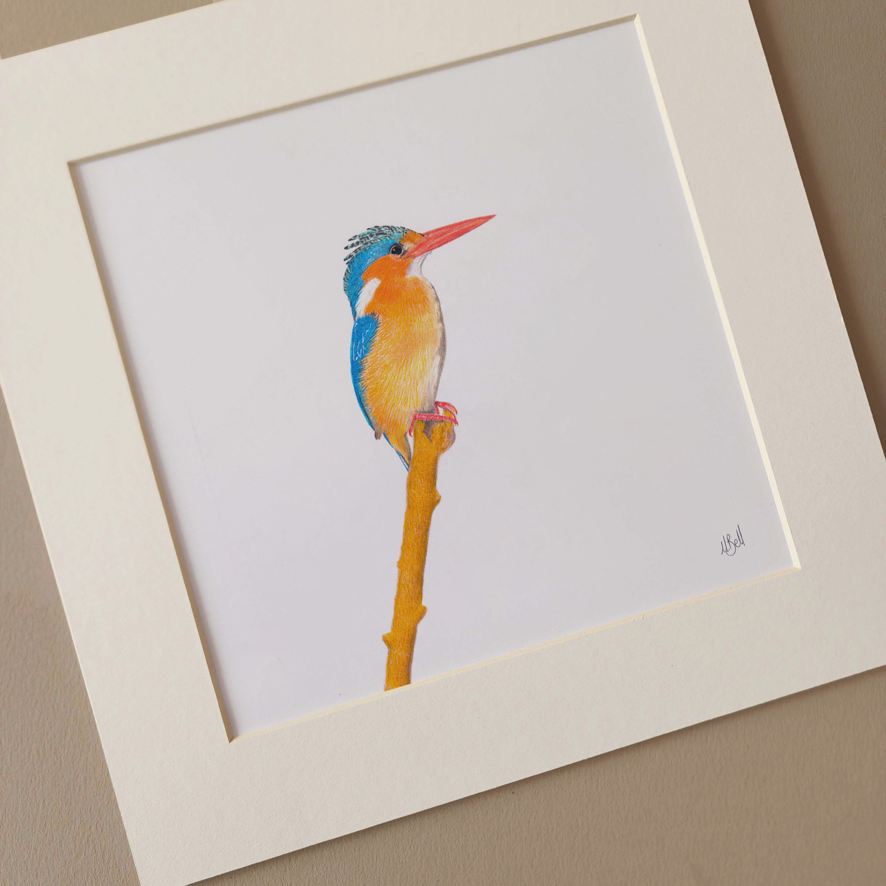 Malachite Kingfisher artwork print