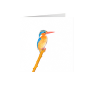 Malachite Kingfisher Greeting Card - MKF2