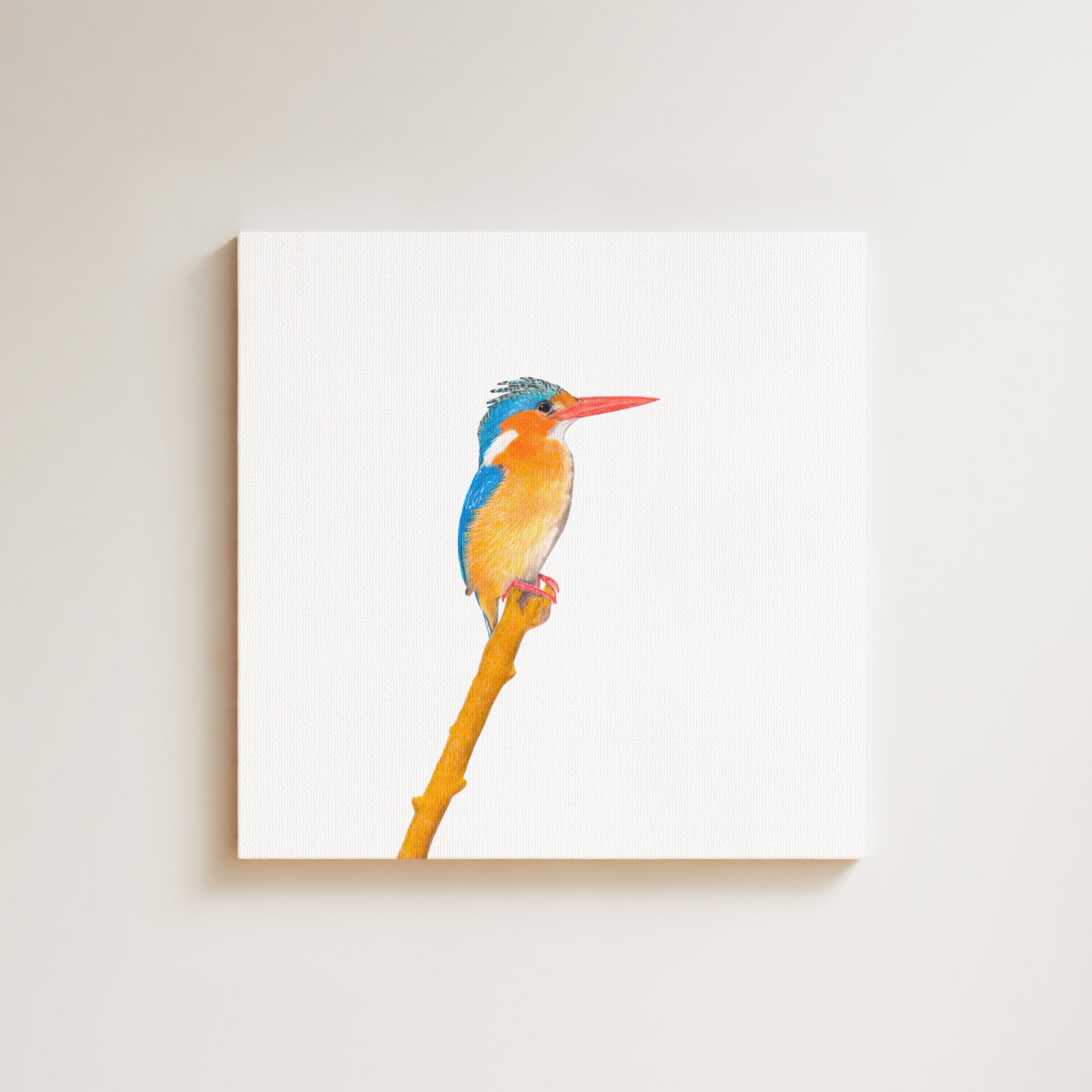 Malachite Kingfisher drawing on canvas by South African wildlife artist Matthew Bell