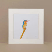 Malachite Kingfisher artwork print