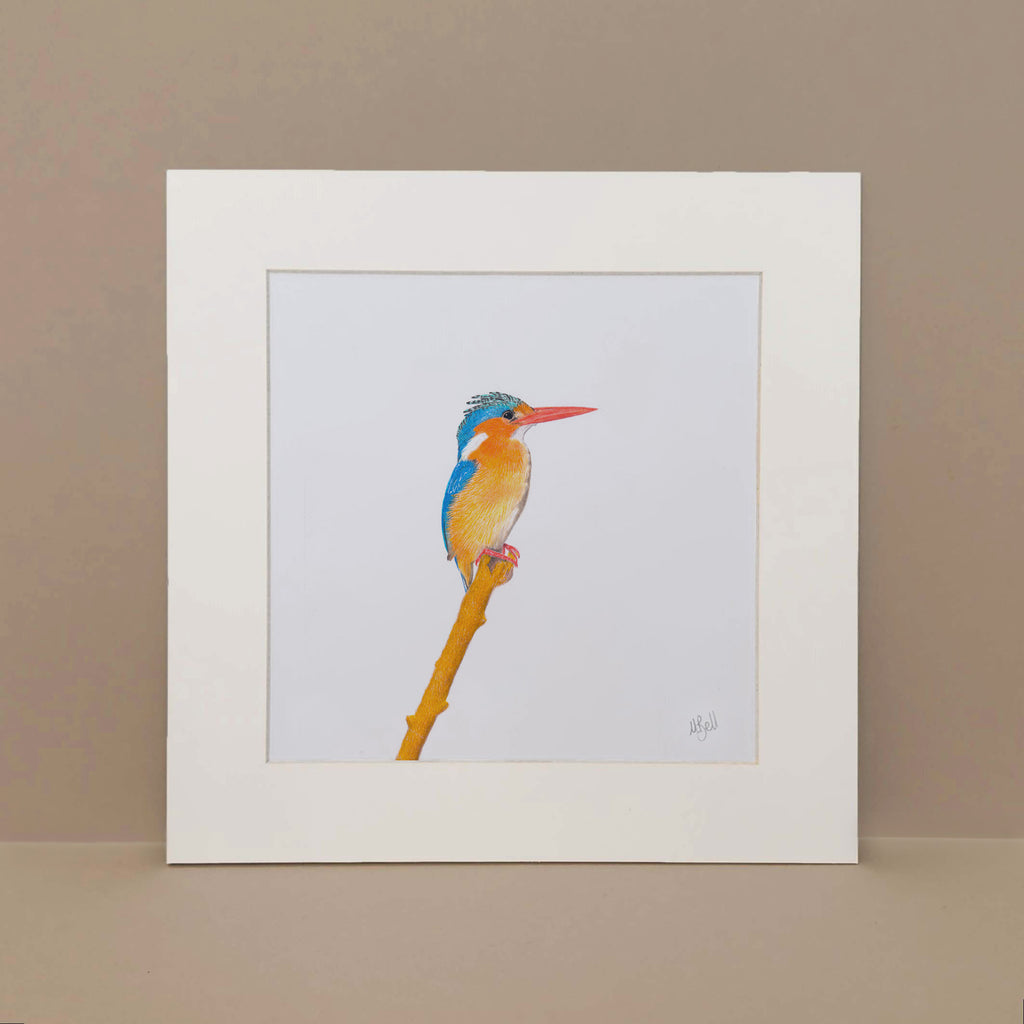 Malachite Kingfisher artwork print