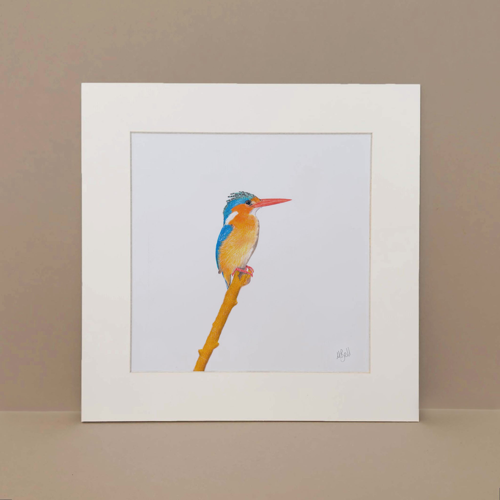 Malachite Kingfisher artwork print