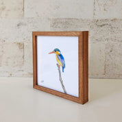 Kiaat wood framed miniature artwork of a Malachite Kingfisher, part of wildlife artist Matthew Bell's birds of South Africa gallery