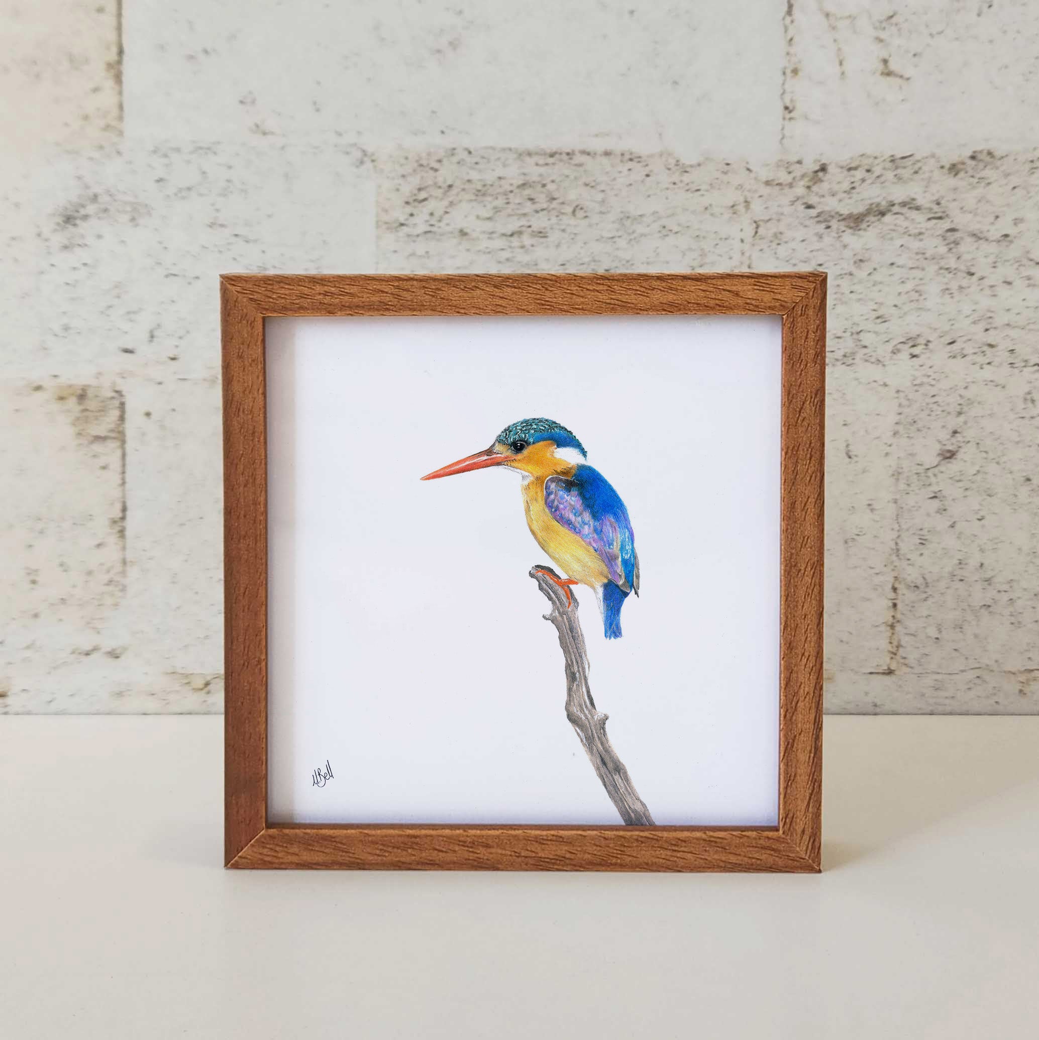 Kiaat wood framed miniature artwork of a Malachite Kingfisher, part of wildlife artist Matthew Bell's birds of South Africa gallery