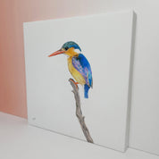 Malachite Kingfisher South African bird artwork stretched on canvas by wildlife artist Matthew Bell