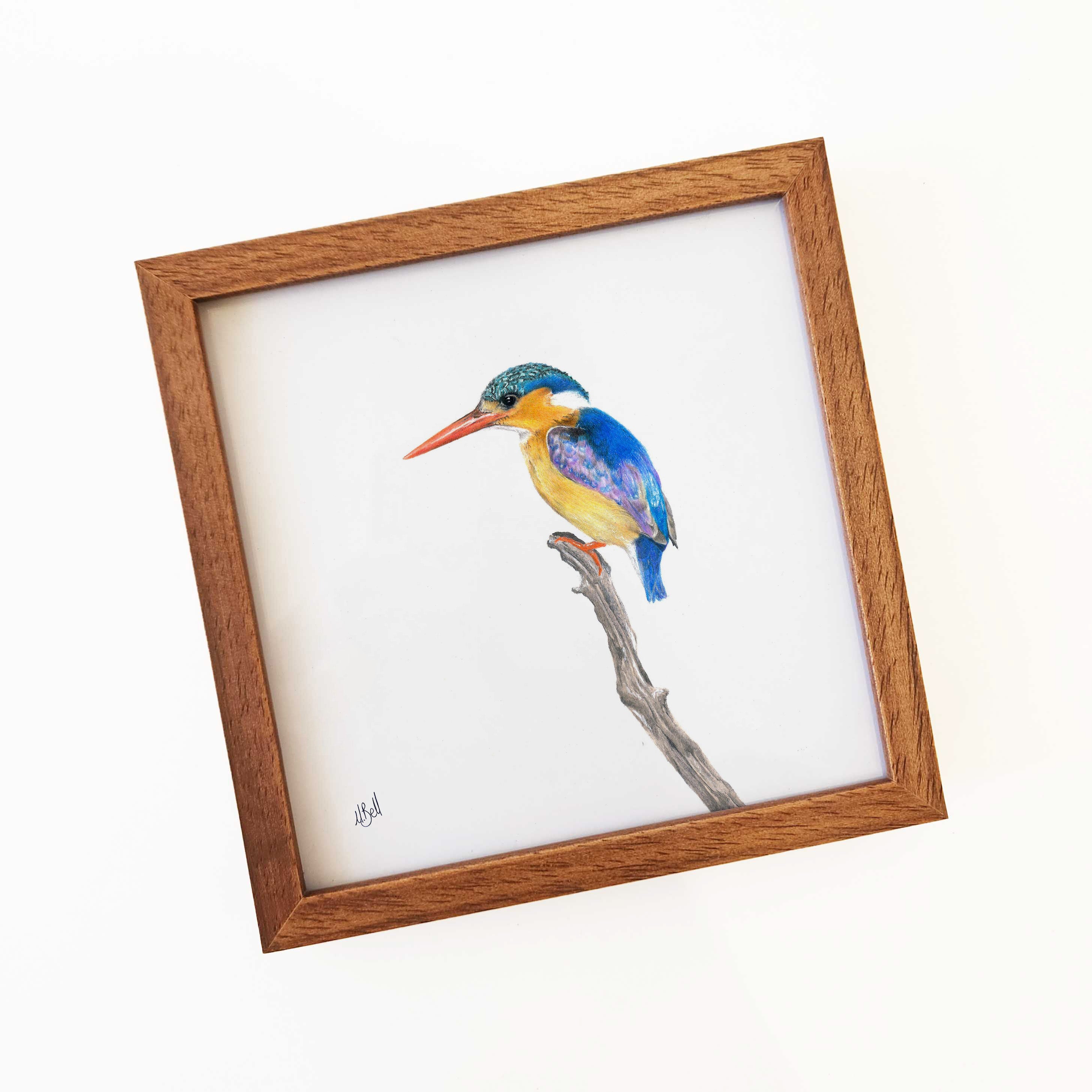 Kiaat wood framed miniature artwork of a Malachite Kingfisher, part of wildlife artist Matthew Bell's birds of South Africa gallery