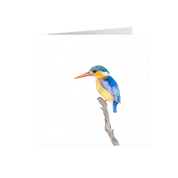 Malachite Kingfisher Greeting Card - MKF3
