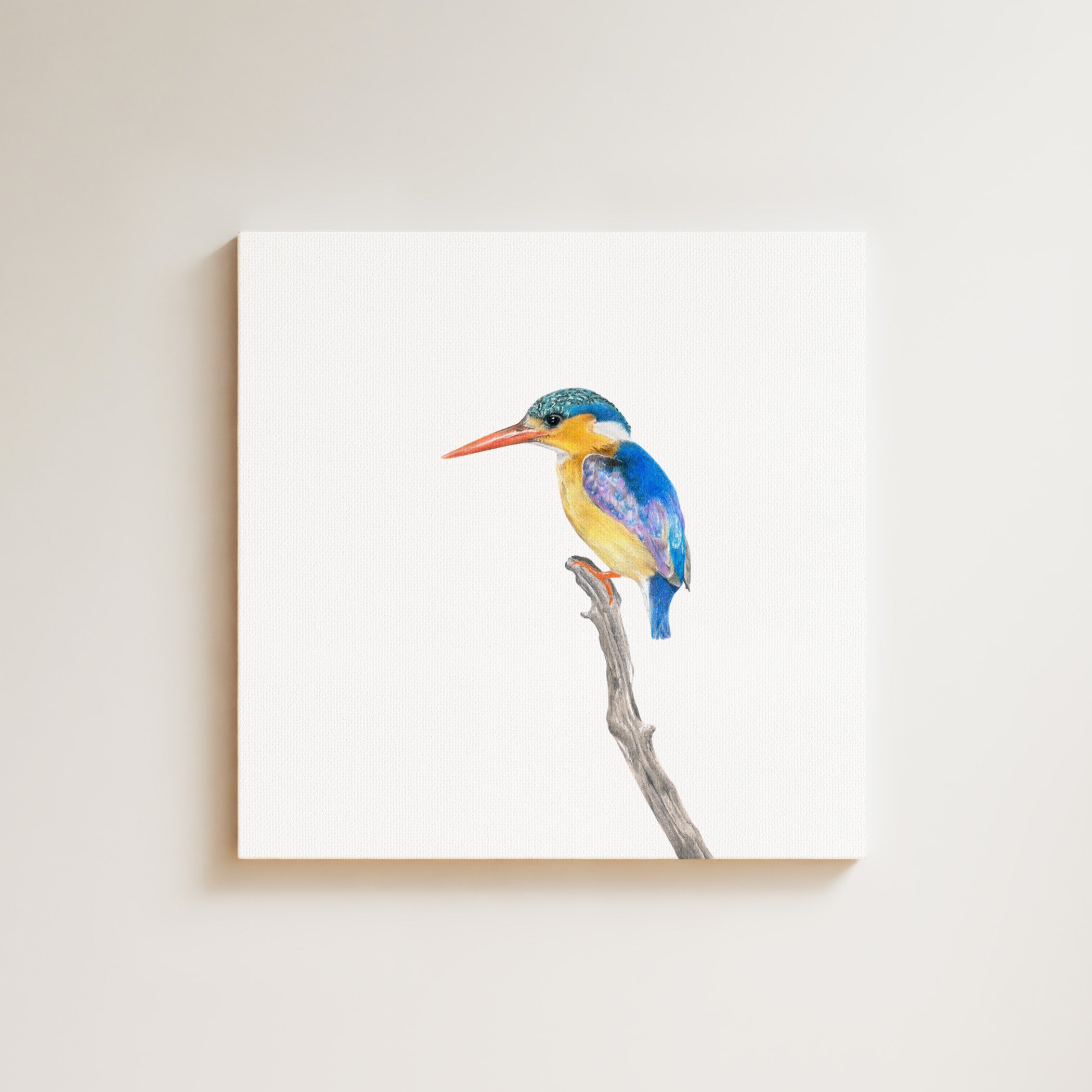 Malachite Kingfisher drawing on canvas by South African wildlife artist Matthew Bell