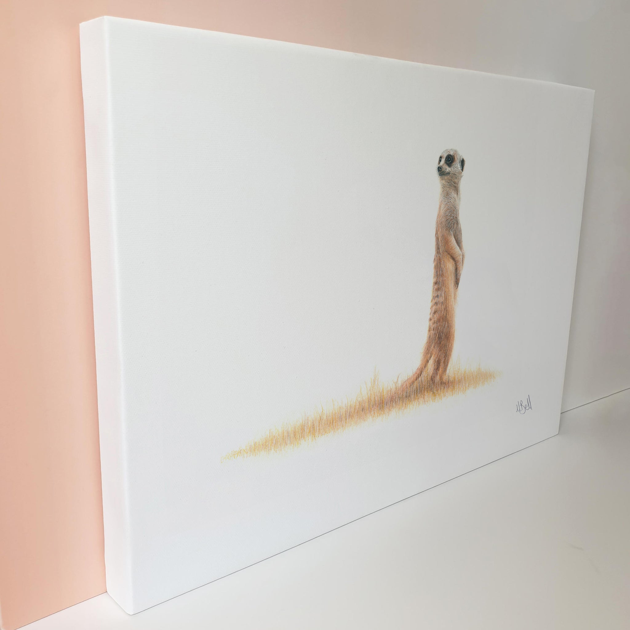 Meerkat  stretched canvas artwork original drawing by Matthew Bell