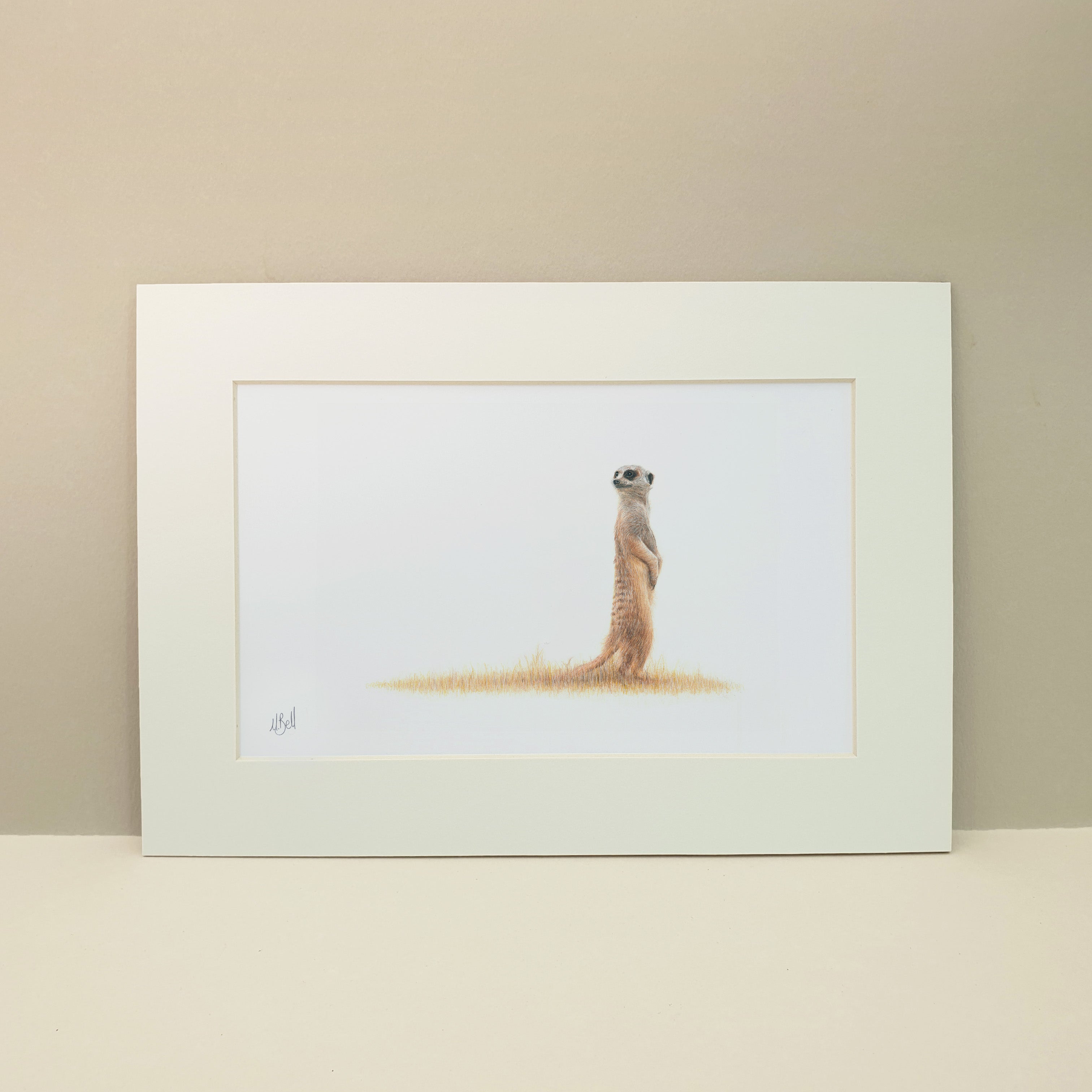 Meerkat artwork in pencil