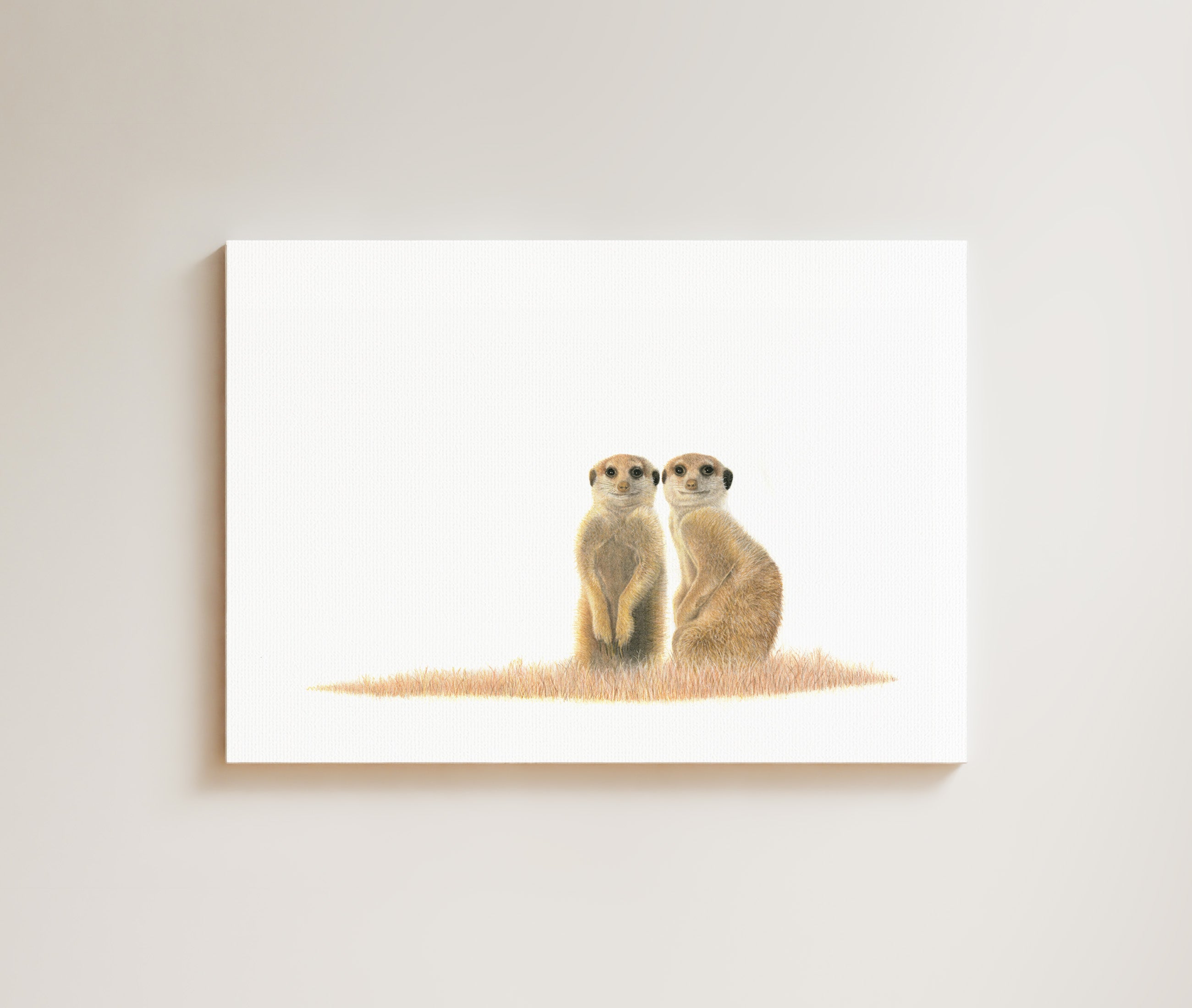 Meerkat drawing on canvas by South African wildlife artist Matthew Bell
