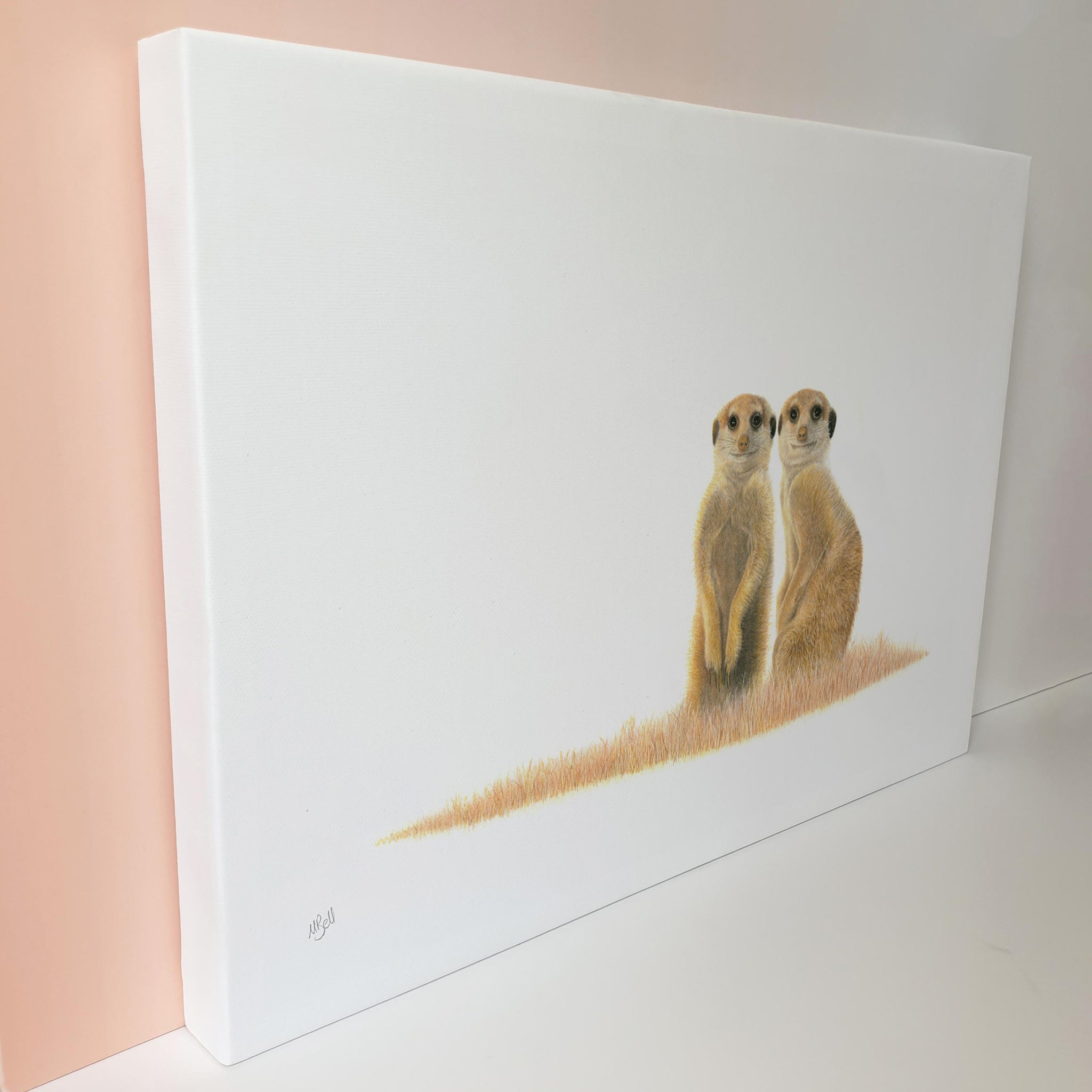 Meerkat pair in the Kgalagadi desert canvas art print