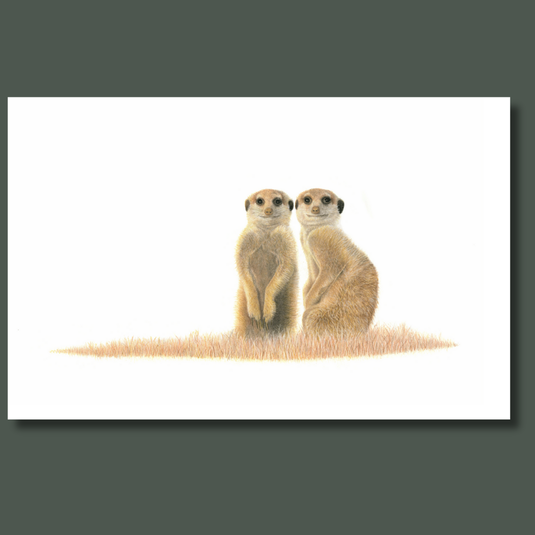 Meerkat pair in the Kgalagadi desert canvas art print