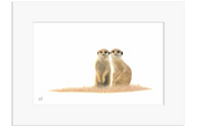 Meerkat Pair - MRK2