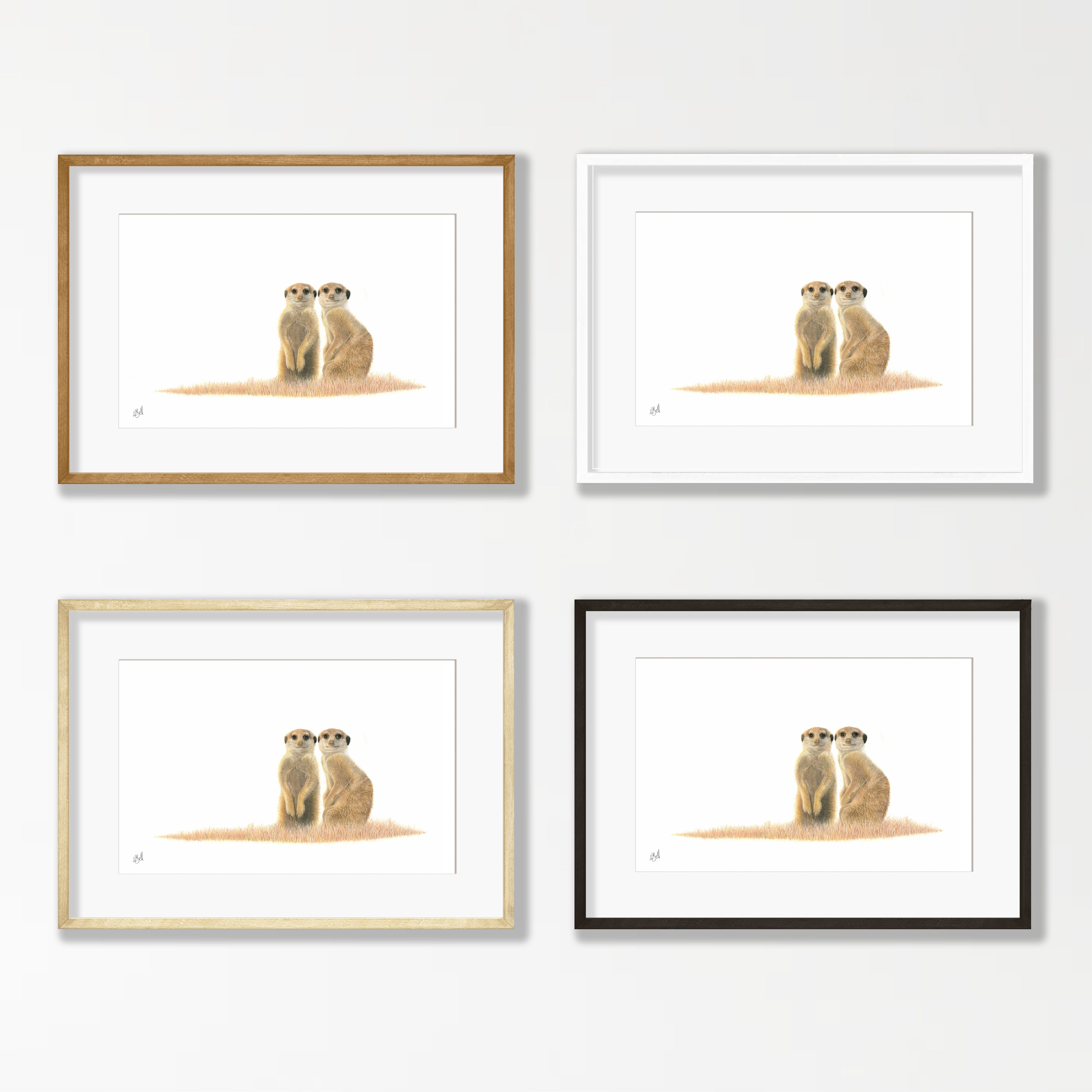 Meerkat Pair - MRK2