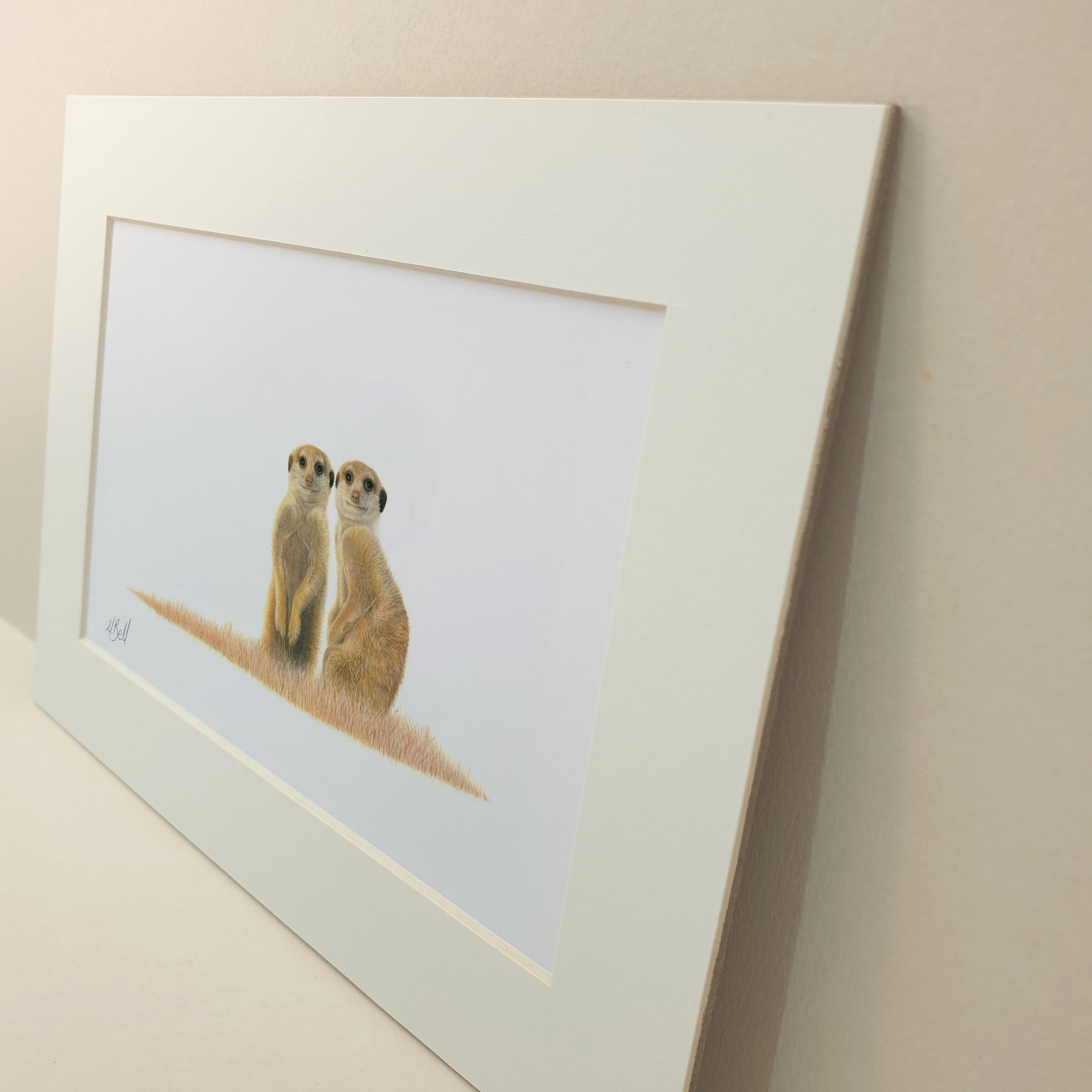 A pair of Meerkats in the Kalahari desert in Botswana