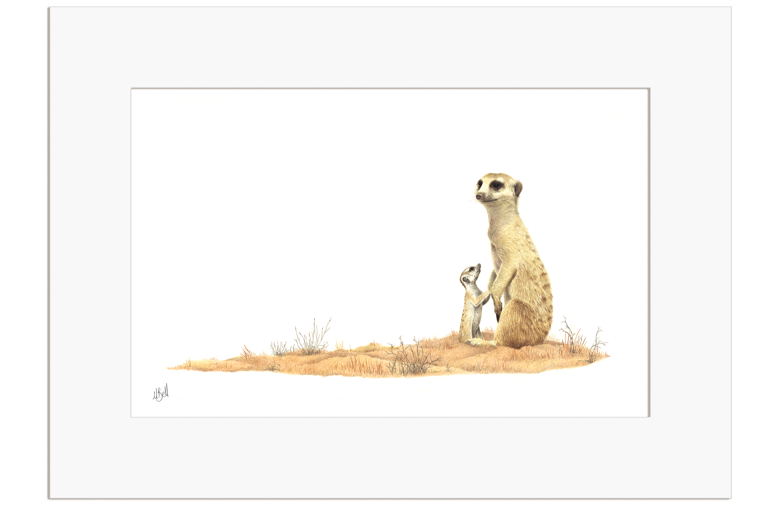 Meerkat Mother and Baby - MRK3