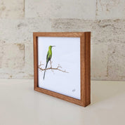 Kiaat wood framed miniature artwork of a Malachite Sunbird, part of wildlife artist Matthew Bell's birds of South Africa gallery