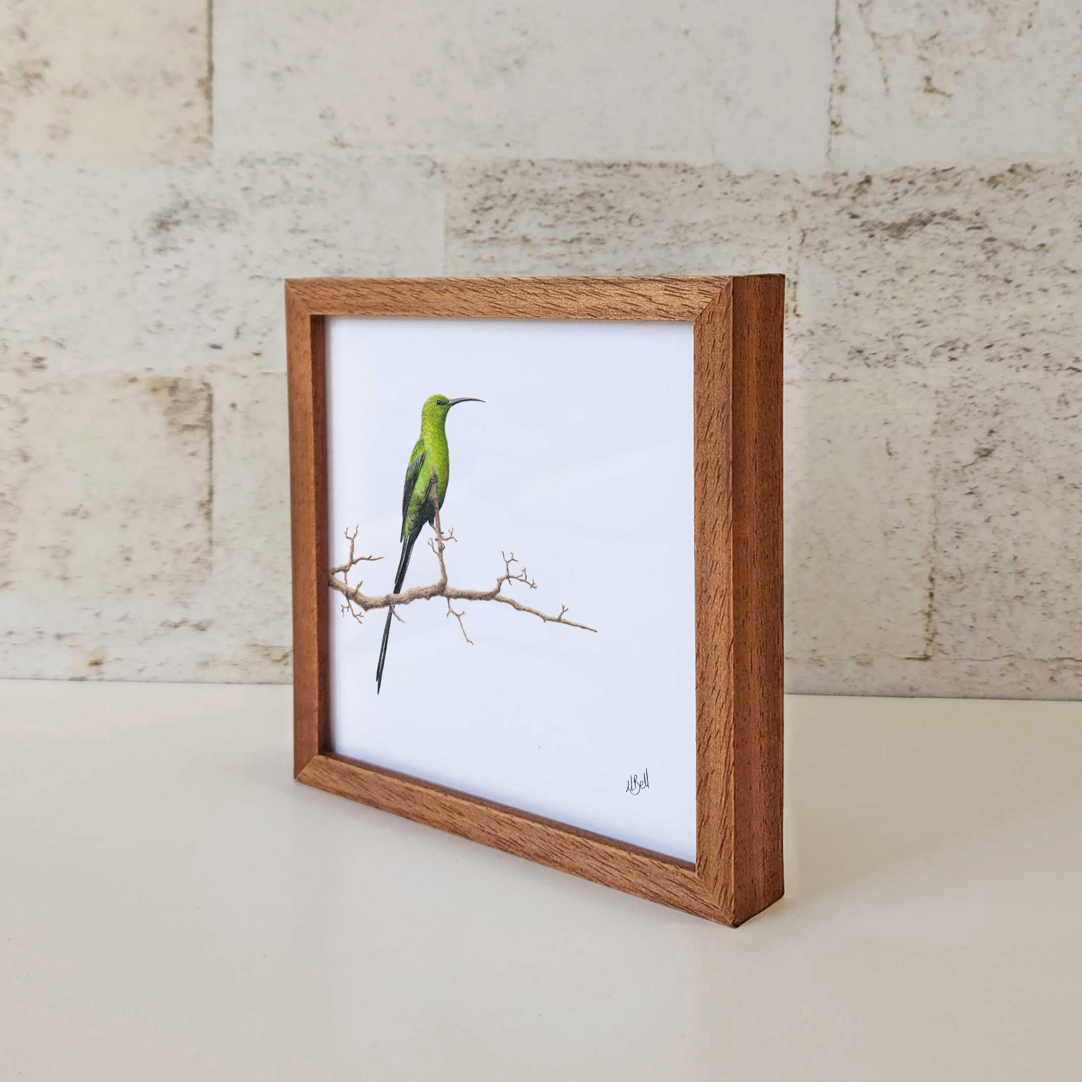 Kiaat wood framed miniature artwork of a Malachite Sunbird, part of wildlife artist Matthew Bell's birds of South Africa gallery