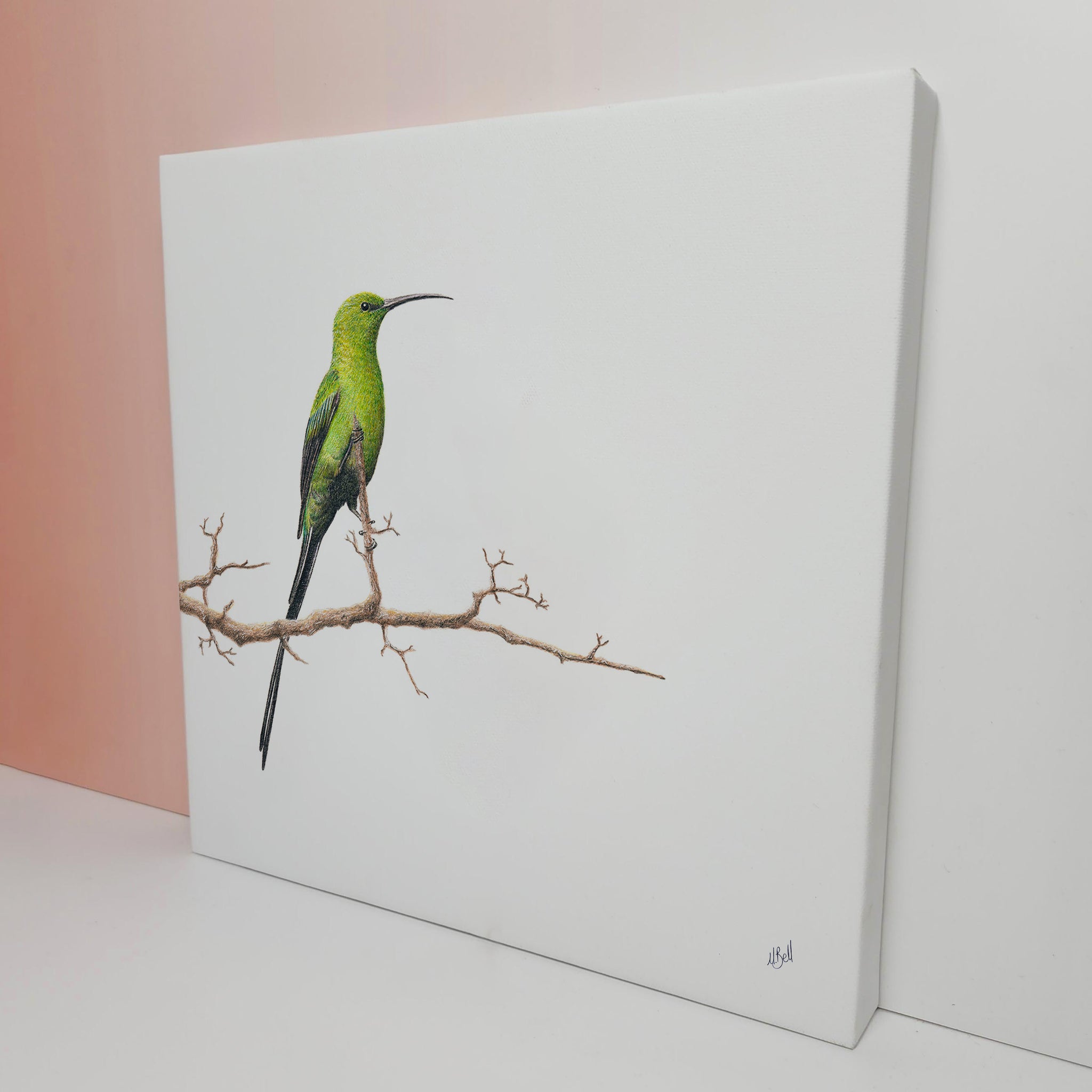 Malachite Sunbird bird artwork on stretched canvas