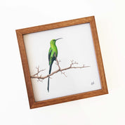 Kiaat wood framed miniature artwork of a Malachite Sunbird, part of wildlife artist Matthew Bell's birds of South Africa gallery