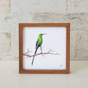 Kiaat wood framed miniature artwork of a Malachite Sunbird, part of wildlife artist Matthew Bell's birds of South Africa gallery