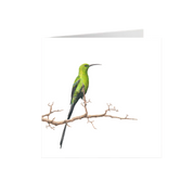 Malachite Sunbird Greeting Card - MSB