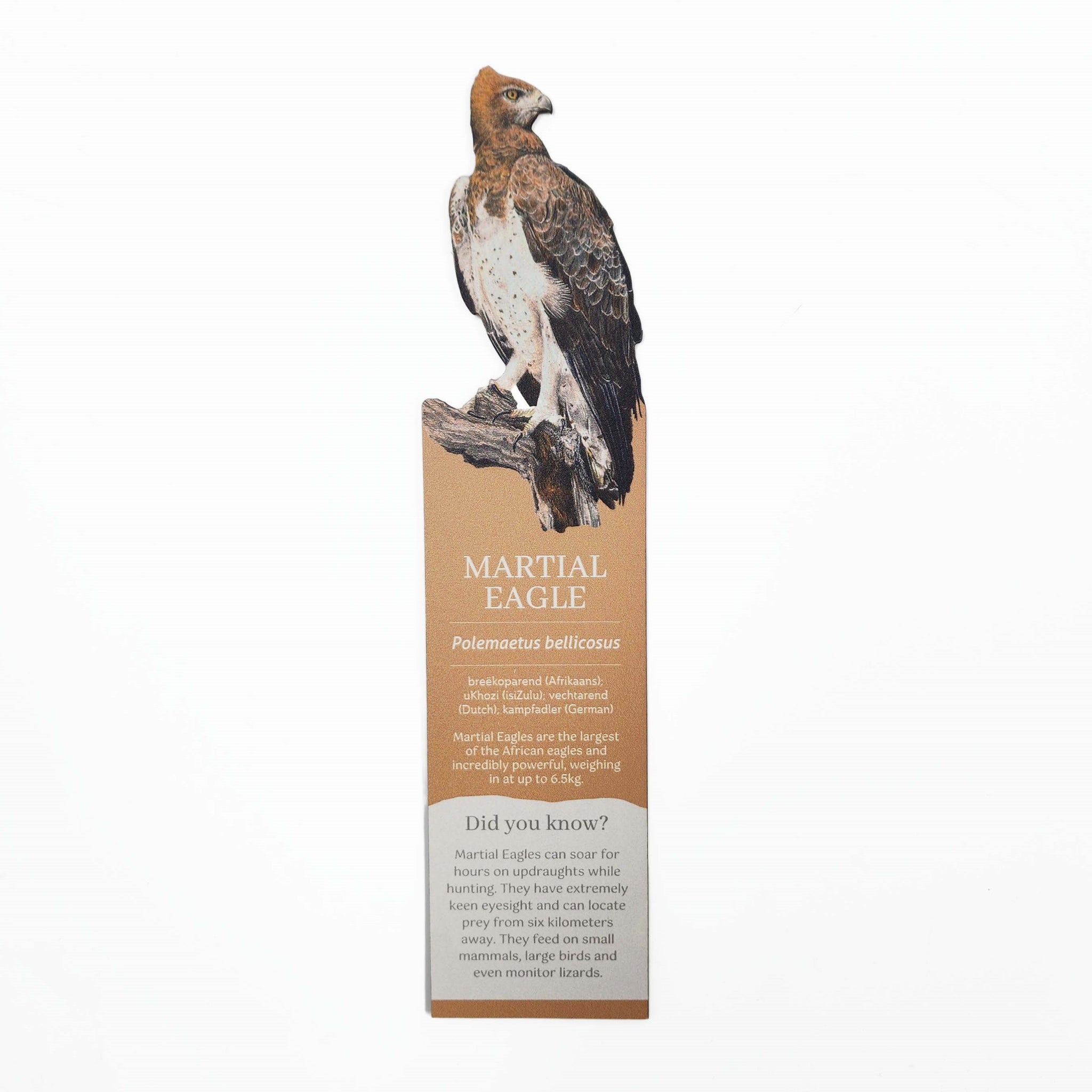 South African birds premium quality gift wooden wildlife bookmark, Martial Eagle