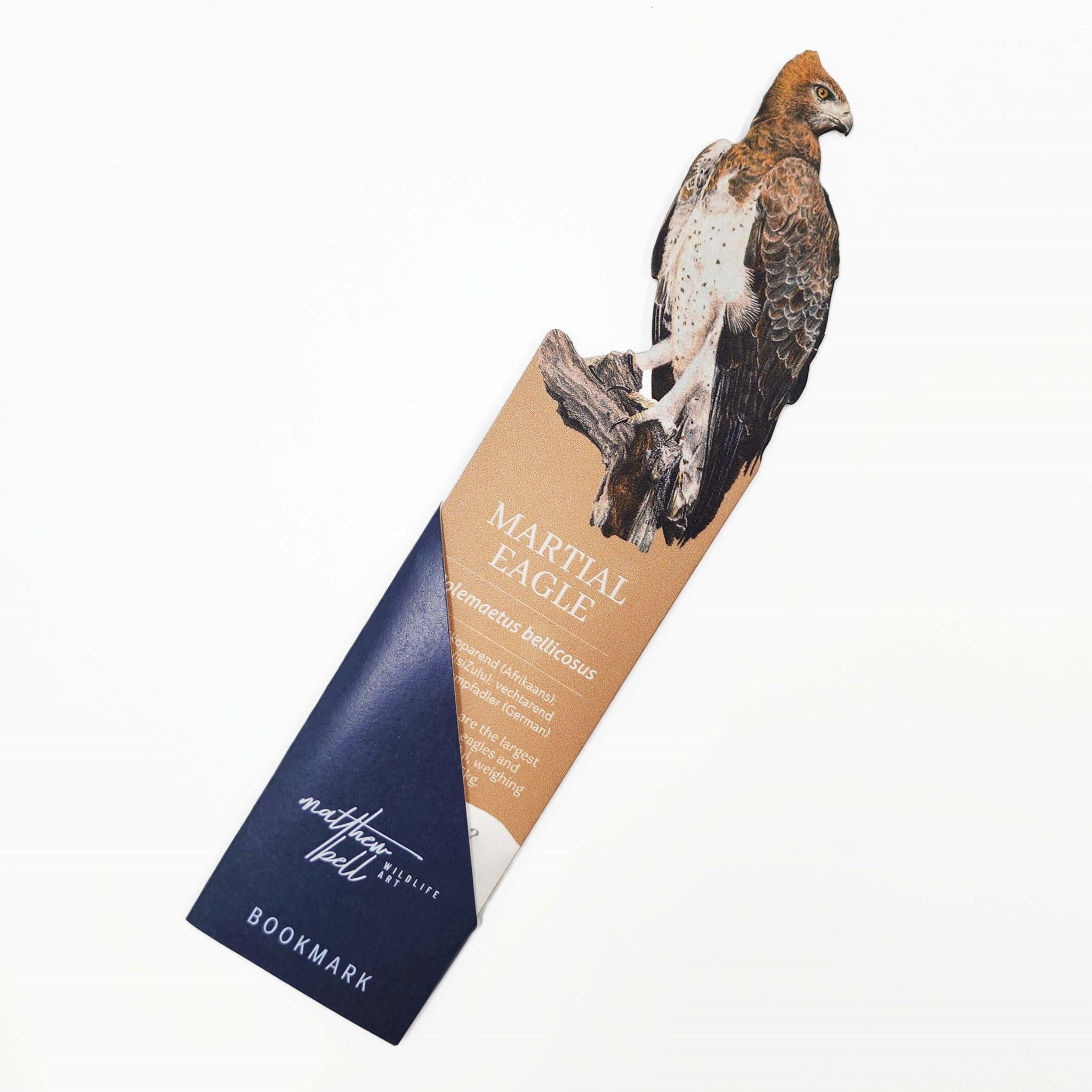 South African birds premium quality gift wooden wildlife bookmark, Martial Eagle