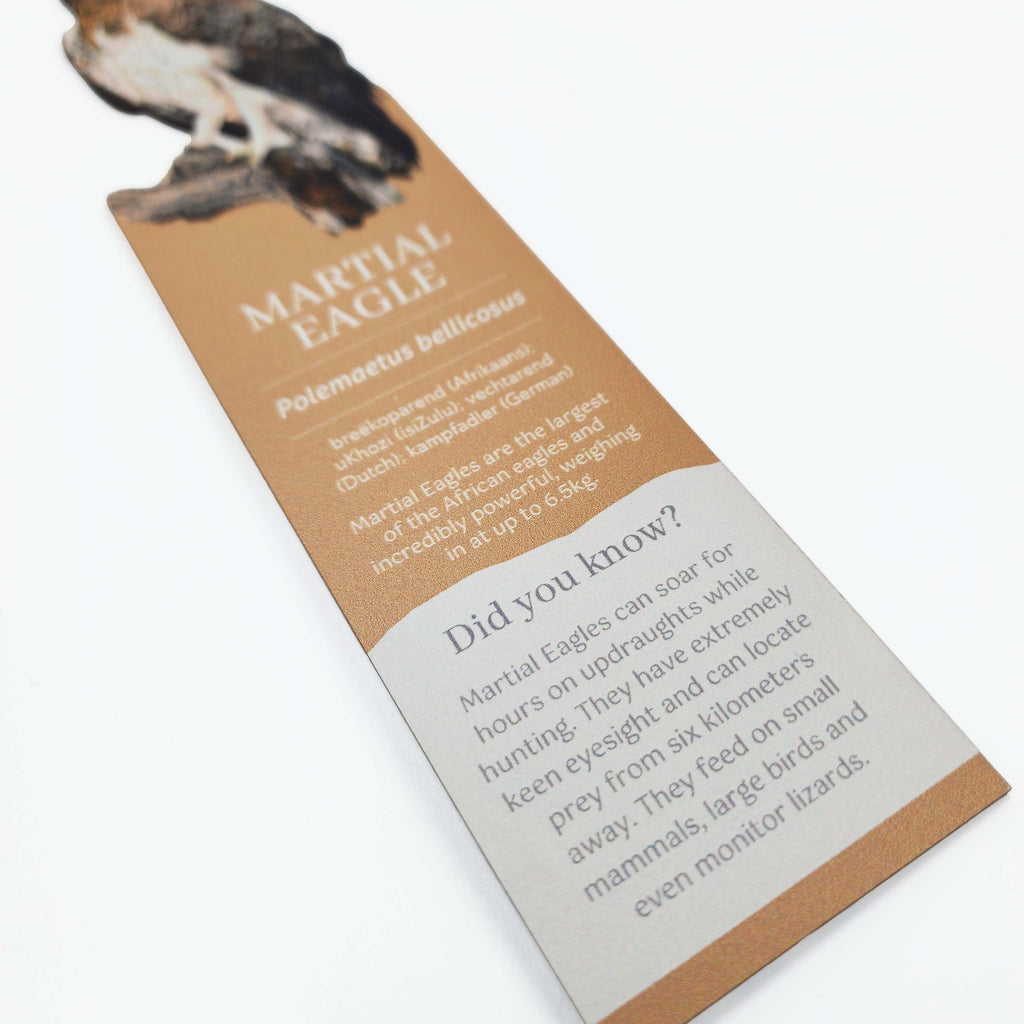 South African birds premium quality gift wooden wildlife bookmark, Martial Eagle