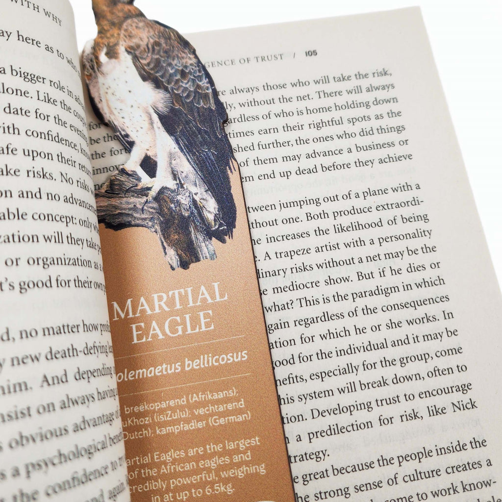 South African birds premium quality gift wooden wildlife bookmark, Martial Eagle