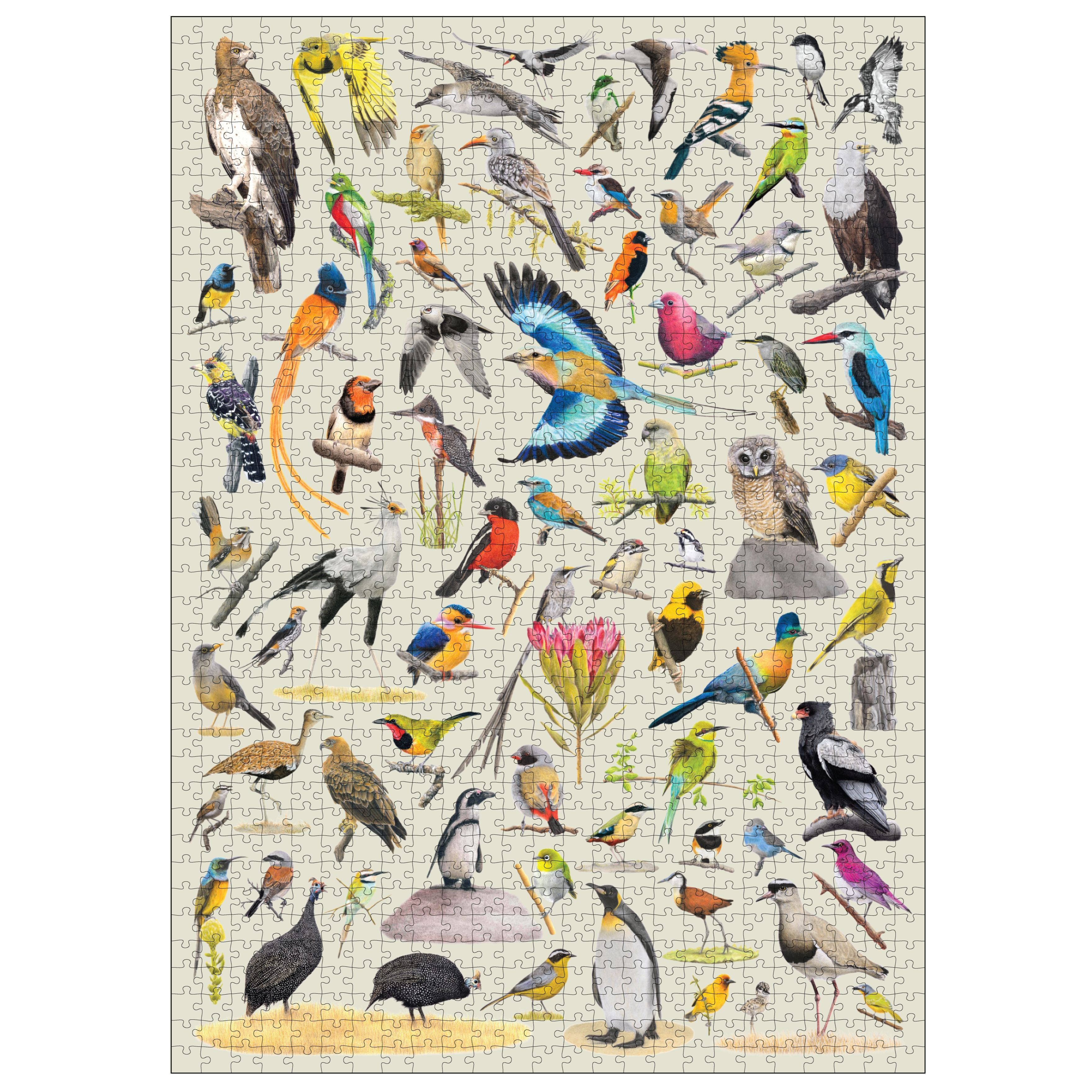 Birds of South Africa Wooden Puzzle