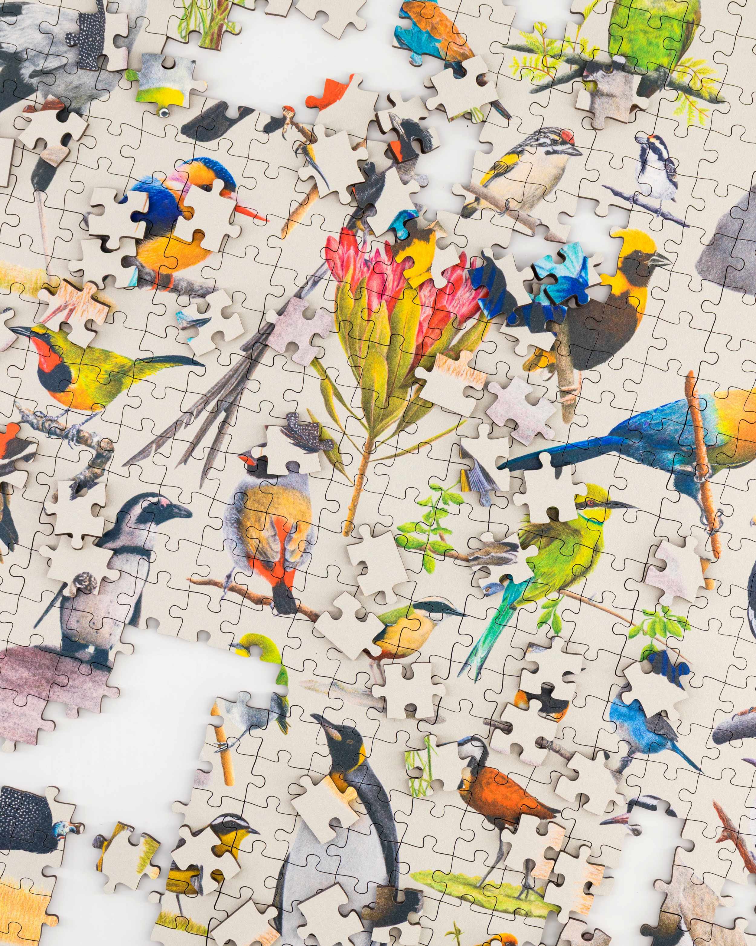 Birds of South Africa Wooden Puzzle – Matthew Bell Wildlife Art