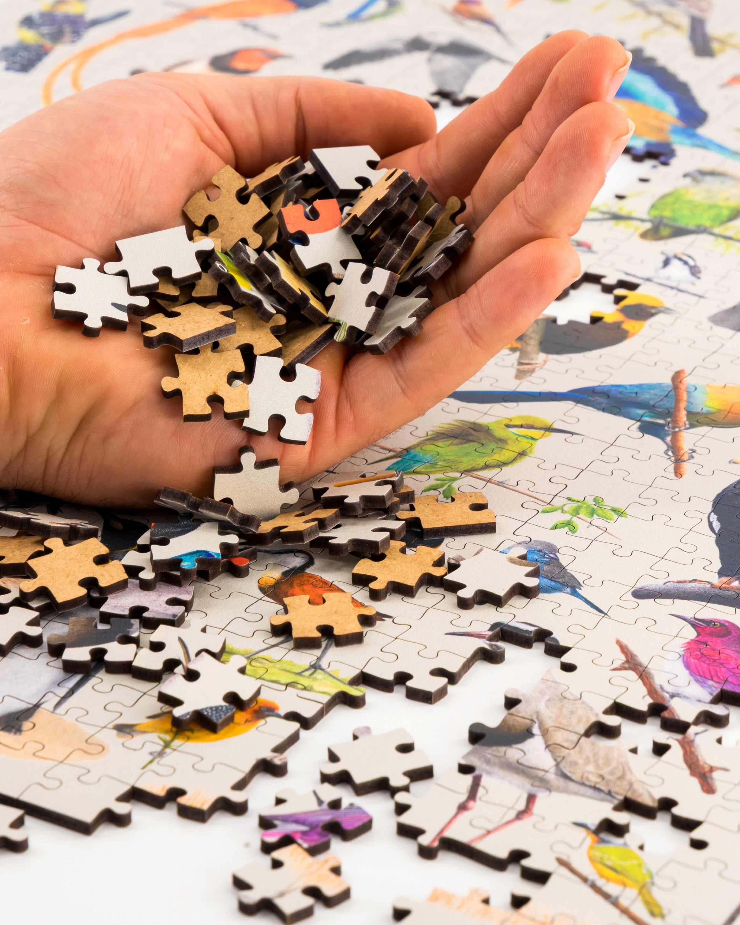 Birds of South Africa Wooden Puzzle