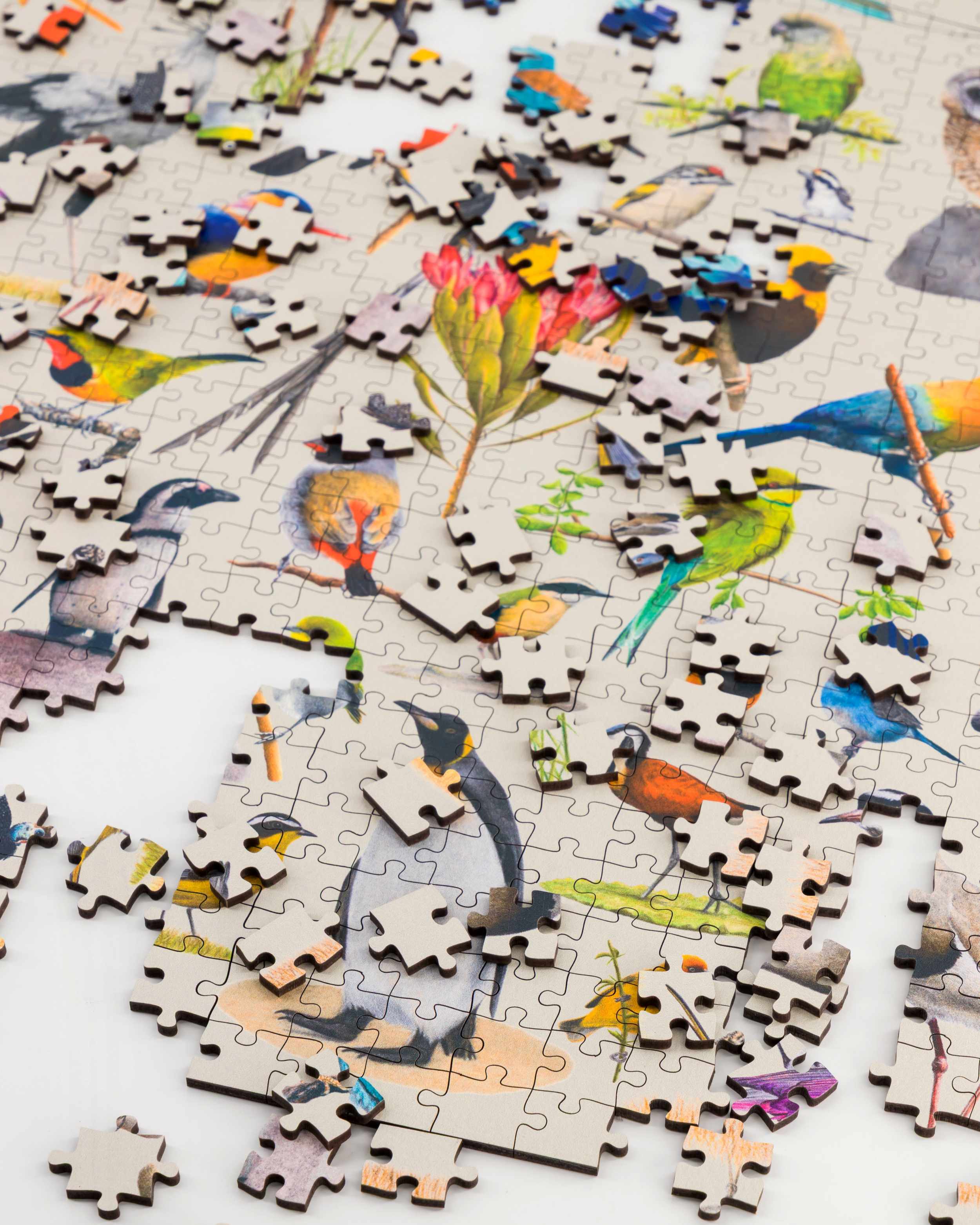 Birds of South Africa Wooden Puzzle