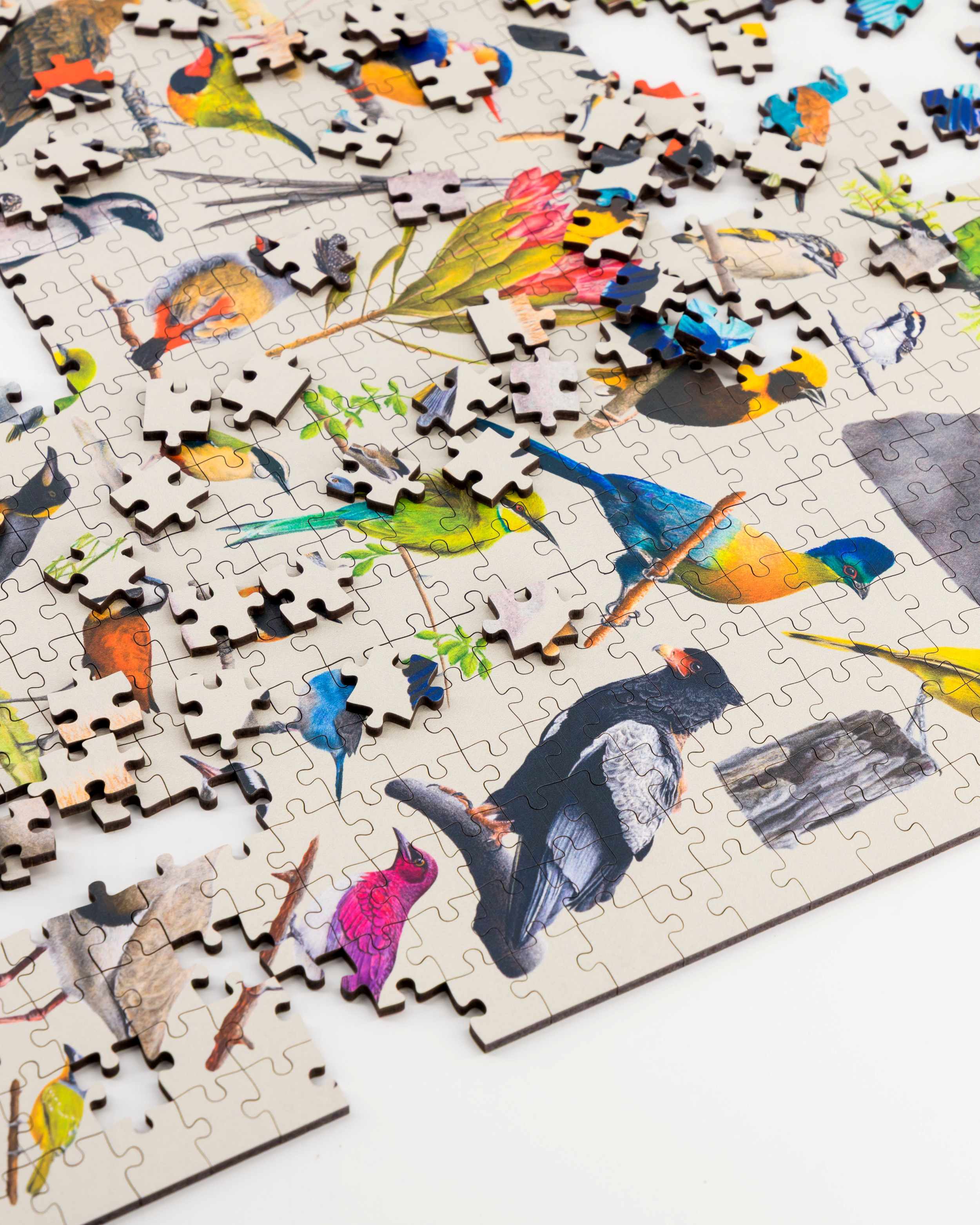 Birds of South Africa Wooden Puzzle