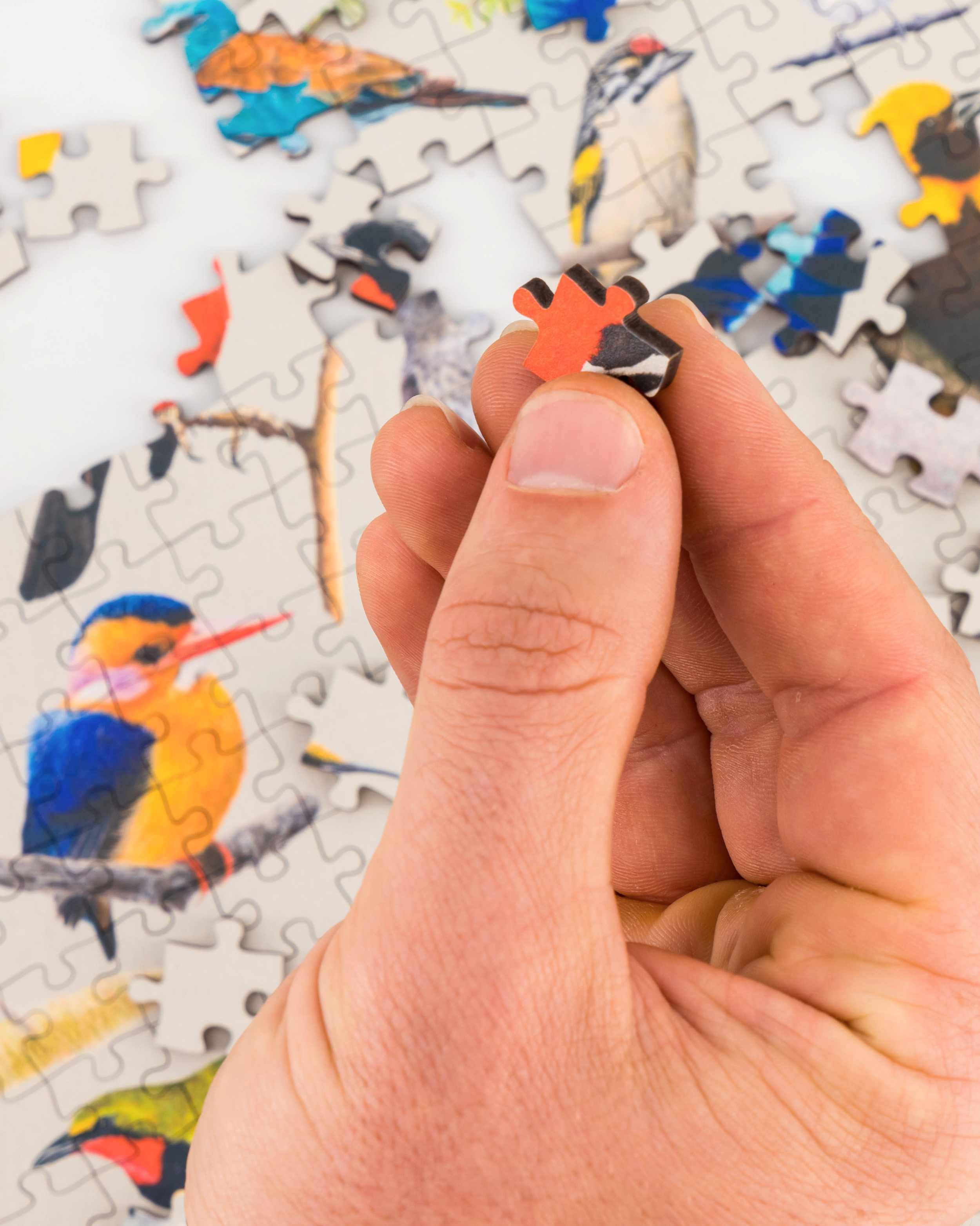 Birds of South Africa Wooden Puzzle