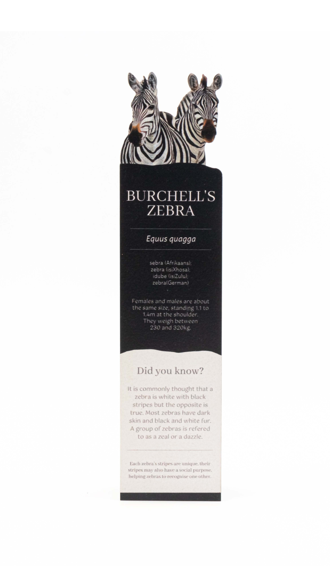Matthew_bell_art_wooden_bookmarks.png