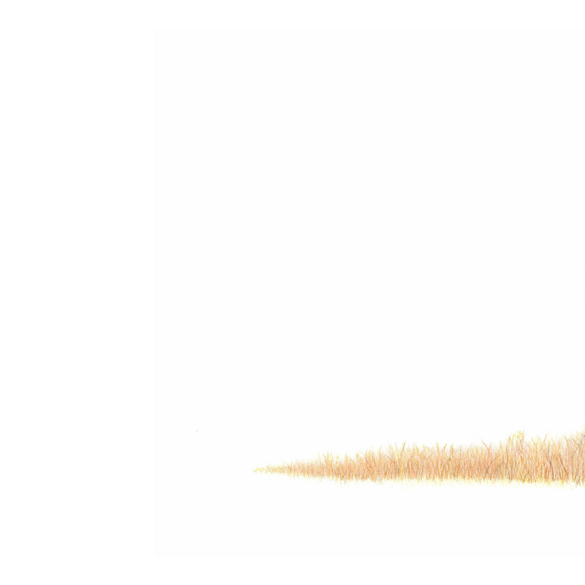 Meerkat panoramic wildlife print featuring charming and detailed Southern African animal artwork.
