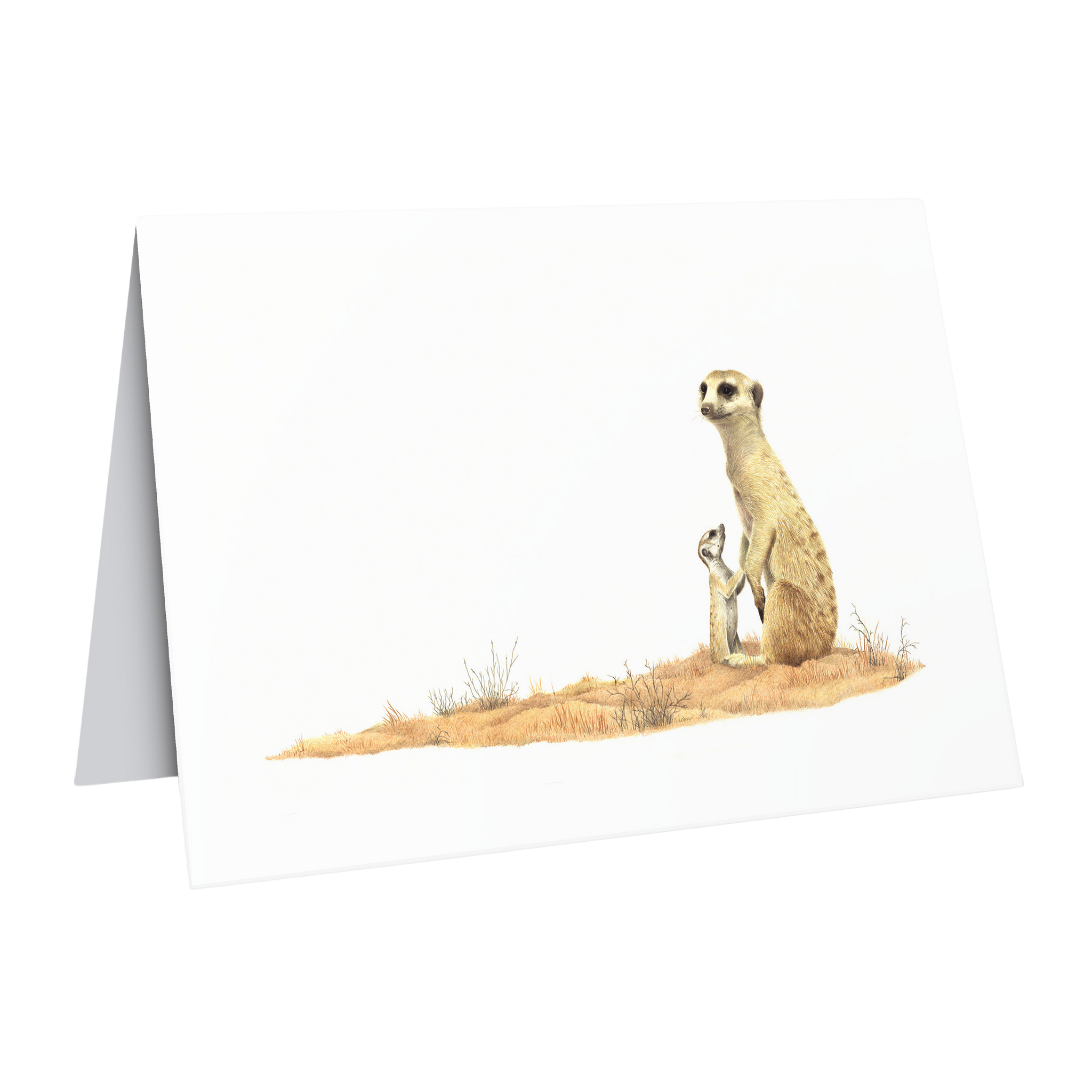 Beautiful fine art South African nature wildlife greeting card of a Mother and baby meerkat