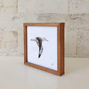 Kiaat wood framed miniature artwork of a Northern Royal Albatross, part of wildlife artist Matthew Bell's birds of South Africa gallery