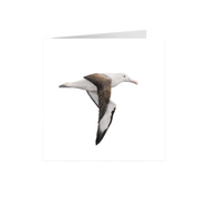 Northern Royal Albatross Greeting Card - NRA