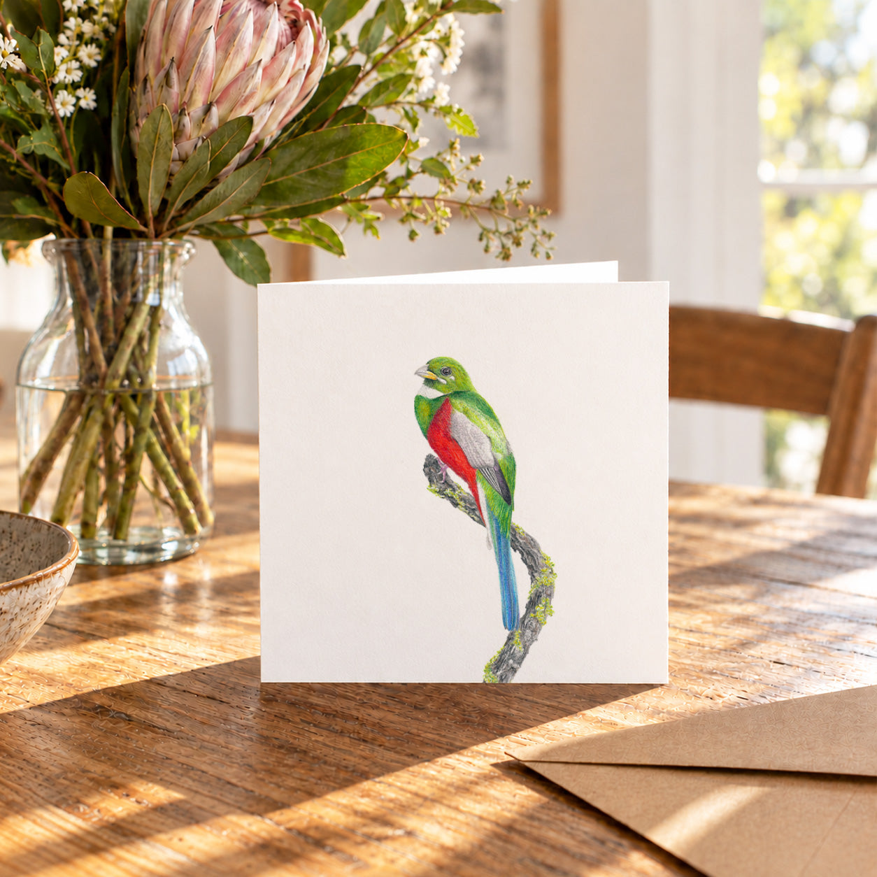 Narina Trogon Greeting Card - NT