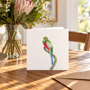 Narina Trogon Greeting Card - NT